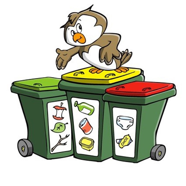 A Look Beyond Your Bin